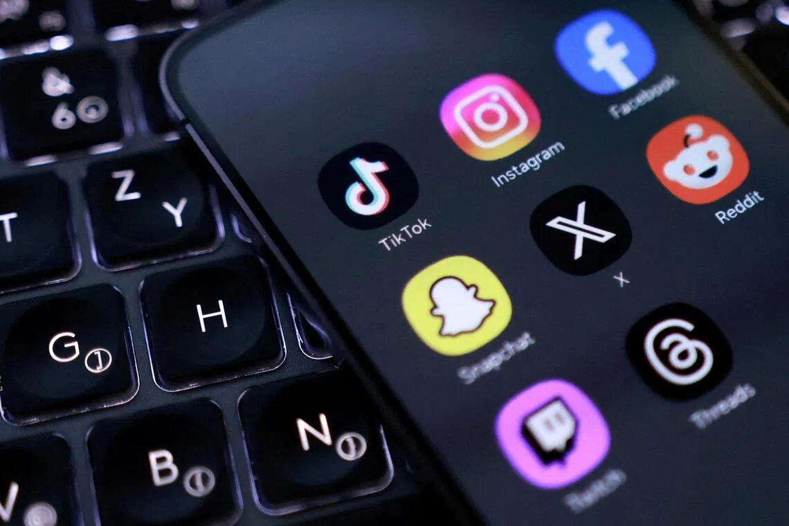 Younger kids who were not on social media when the ban came into place may grow up in an environment where access to the platforms is not the norm. 