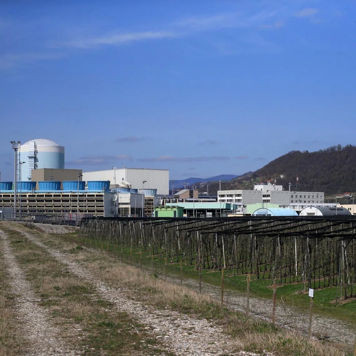 FILE PHOTO: A general view of the nuclear power plant in Krsko, Slovenia, March 22, 2020. REUTERS/Borut Zivulovic/File Photo