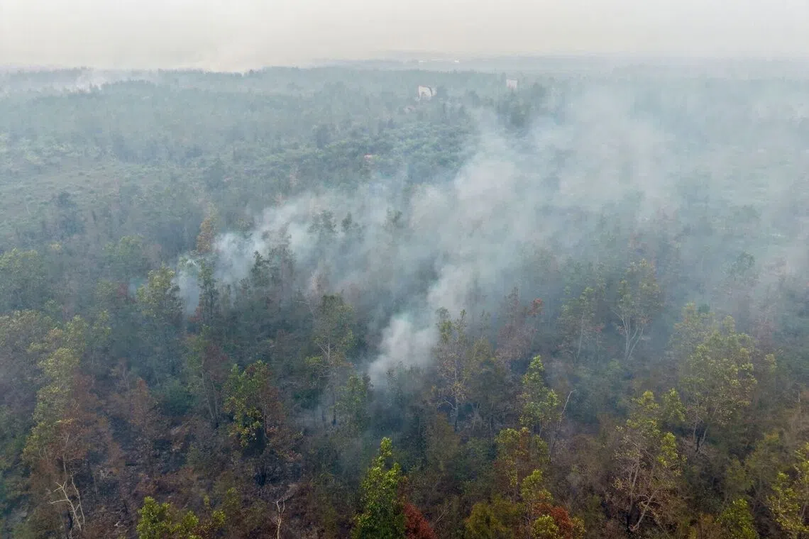 Smoke rises from forest fires in Palangkaraya, Central Kalimantan, on Sept 23.