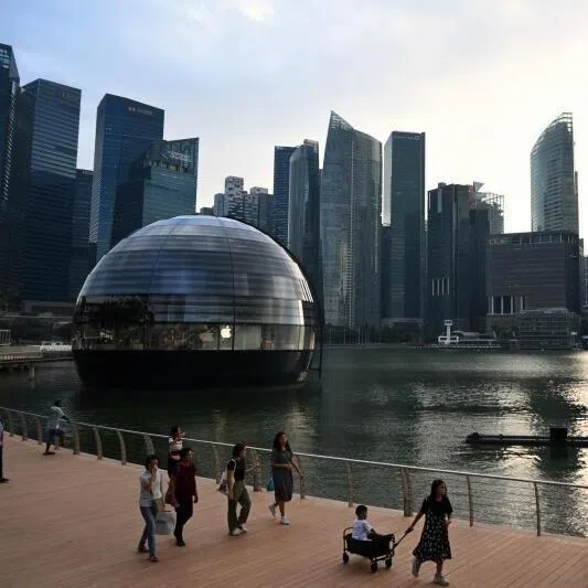 While the US and China dominate the AI sector, Singapore can still carve a niche for itself, says the writer.