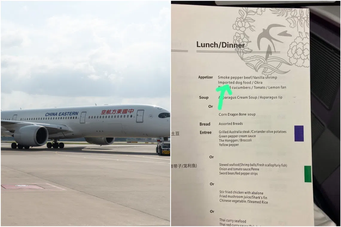 A passenger, Mr Conrad Wu, posted a photo of the lunch and dinner menu, with an arrow pointing to “imported dog food/okra” as one of the options for the appetiser.