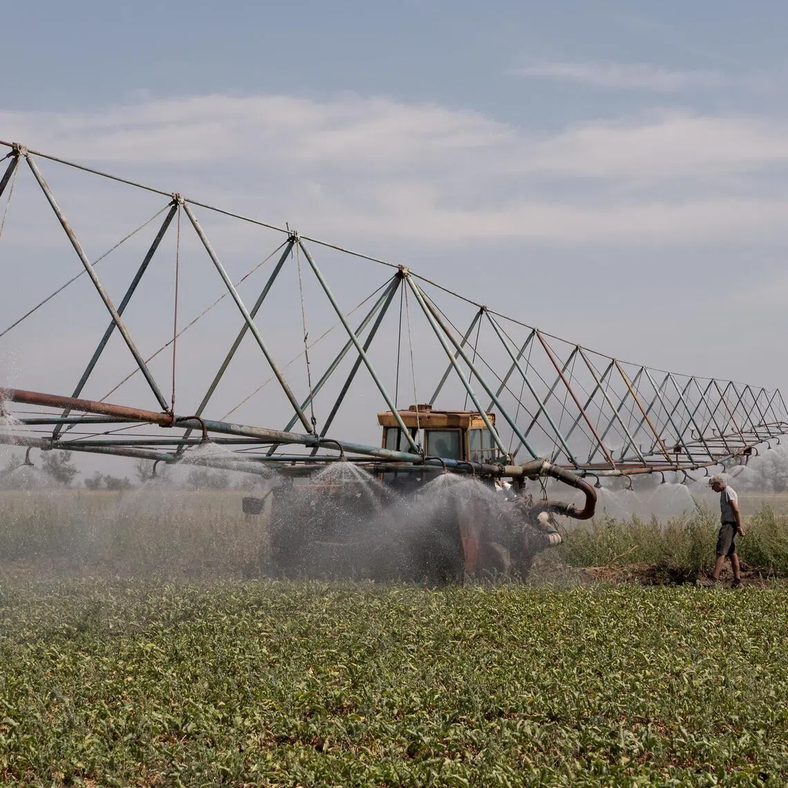 Wars in Ukraine and Iran, along with heatwaves across Europe, are pushing grain prices to three-year highs.