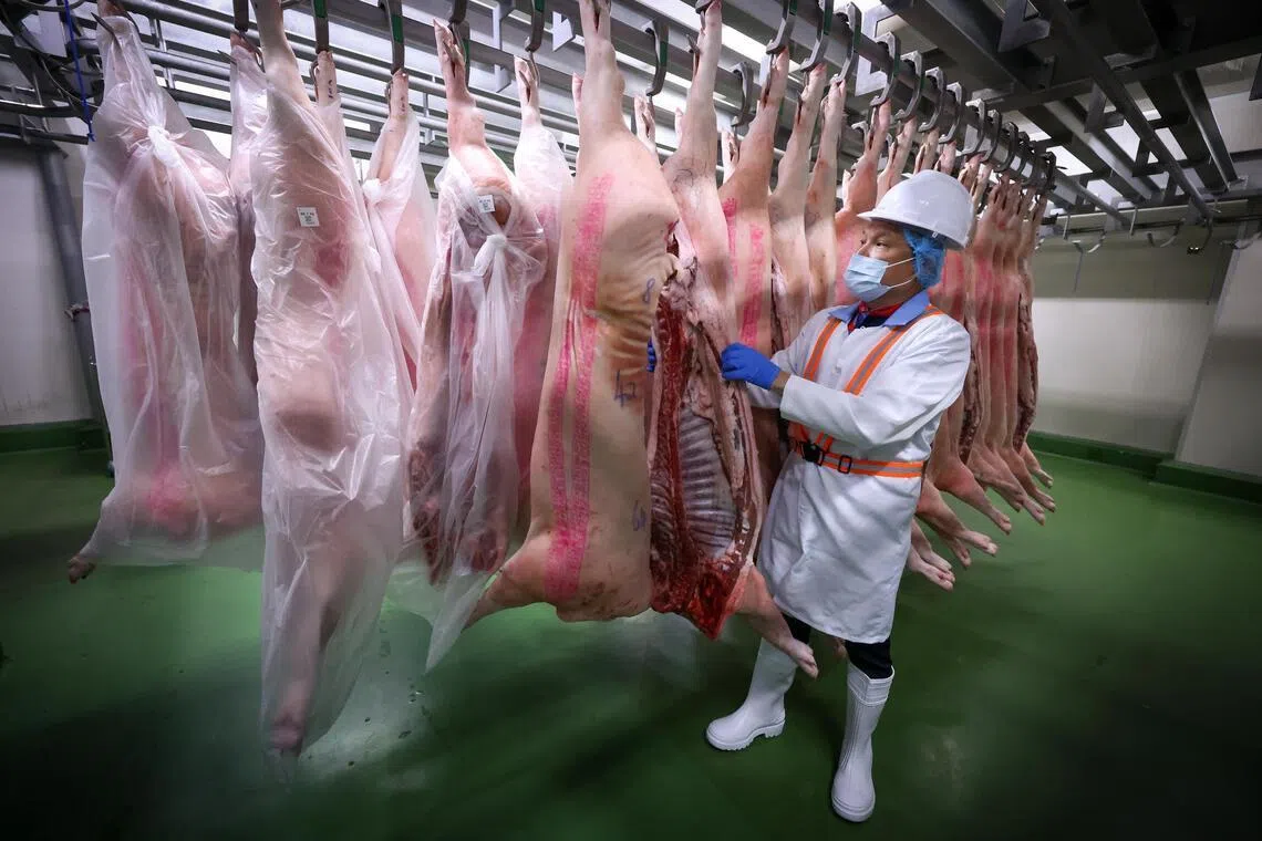 Singapore looks to resume live pig imports from Indonesia’s Bulan as another source besides Malaysia