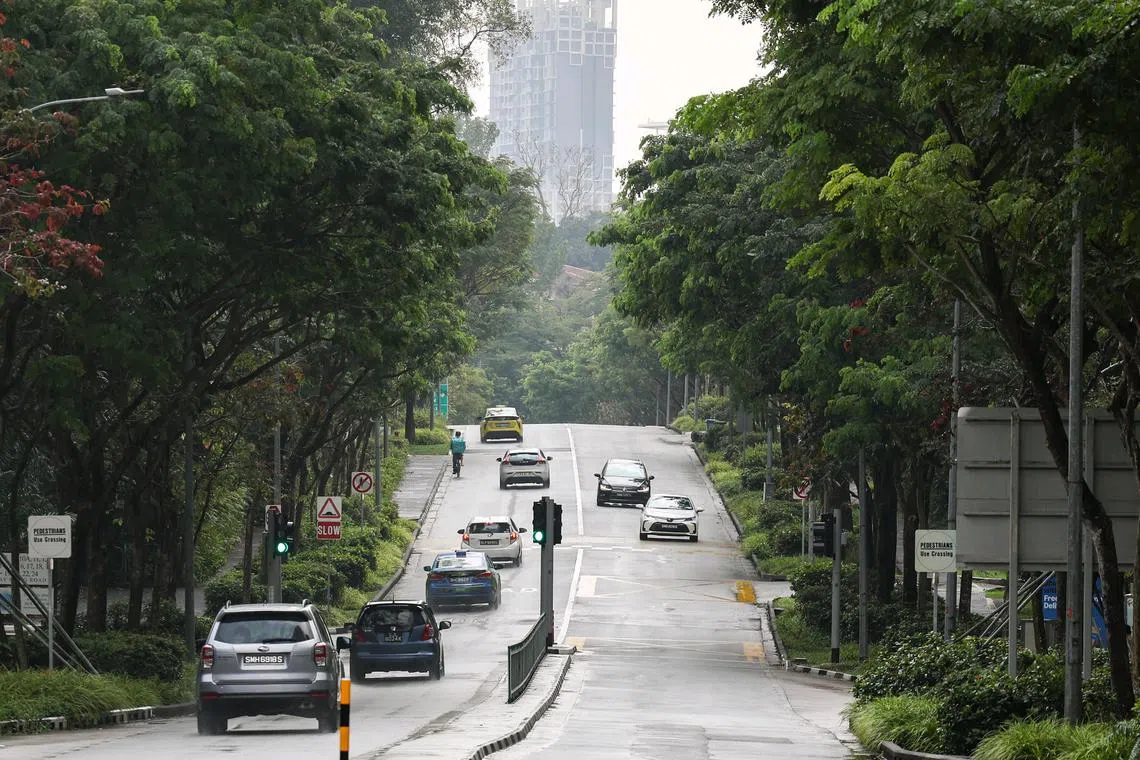ST20241112_202473200653/eldawson12/Brian Teo/Esther Loi/Overview of Kay Siang road on Nov 12, 2024. The road is expected to be widened from dual 1-lane to dual 2-lane.ST PHOTO: BRIAN TEO