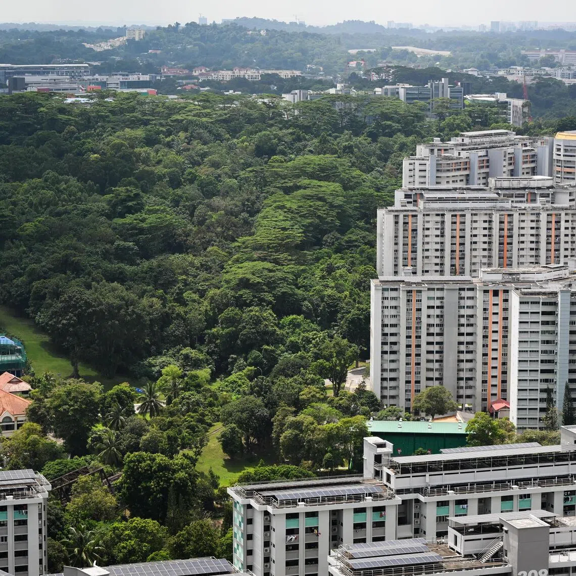 Nineteen MPs had asked about a range of issues after the Housing Board released its plans for the areas on July 10.