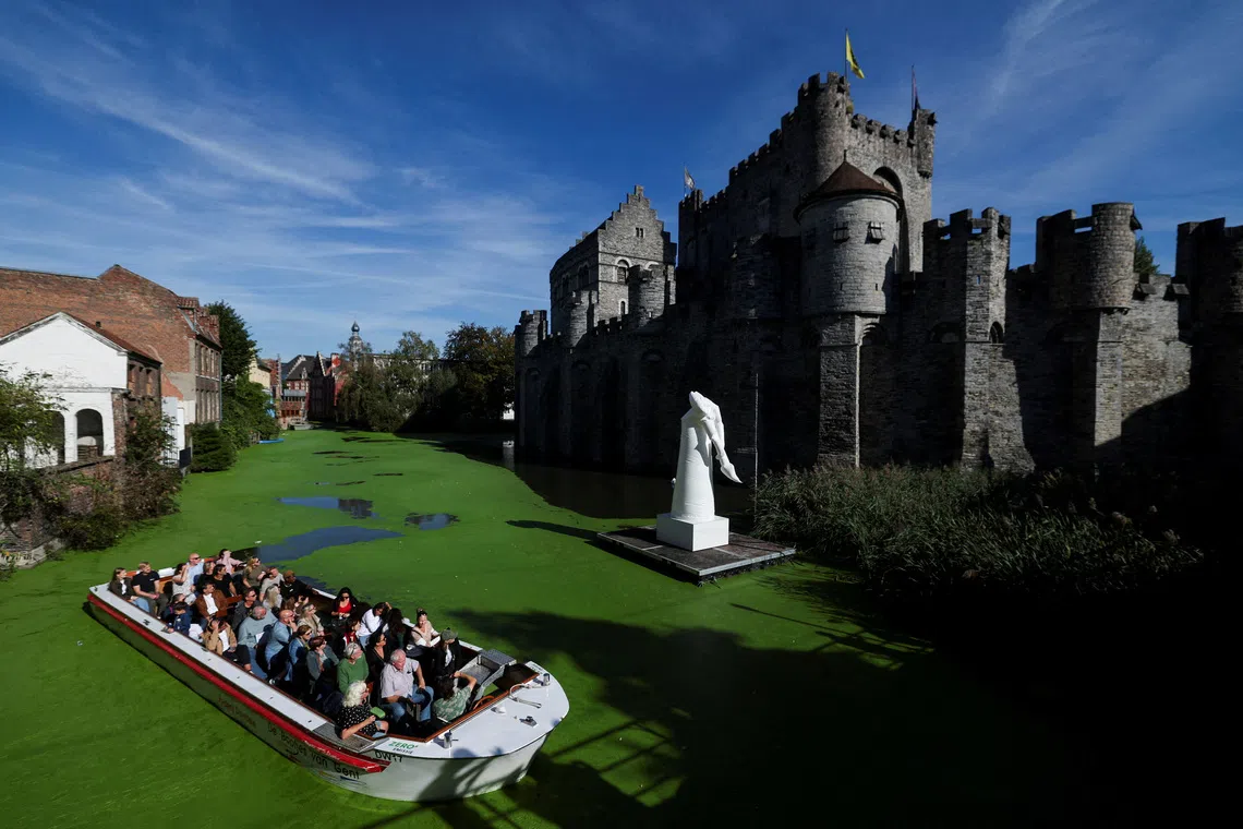 A sightseeing boat travels along a duckweed-covered section of the River Lys in front of the Gravensteen castle in Ghent, Belgium, October 5, 2026. Prolonged hot and dry weather led to a surge in duckweed growth on the river following one of Europe's driest summers on record. REUTERS/Stephanie Lecocq