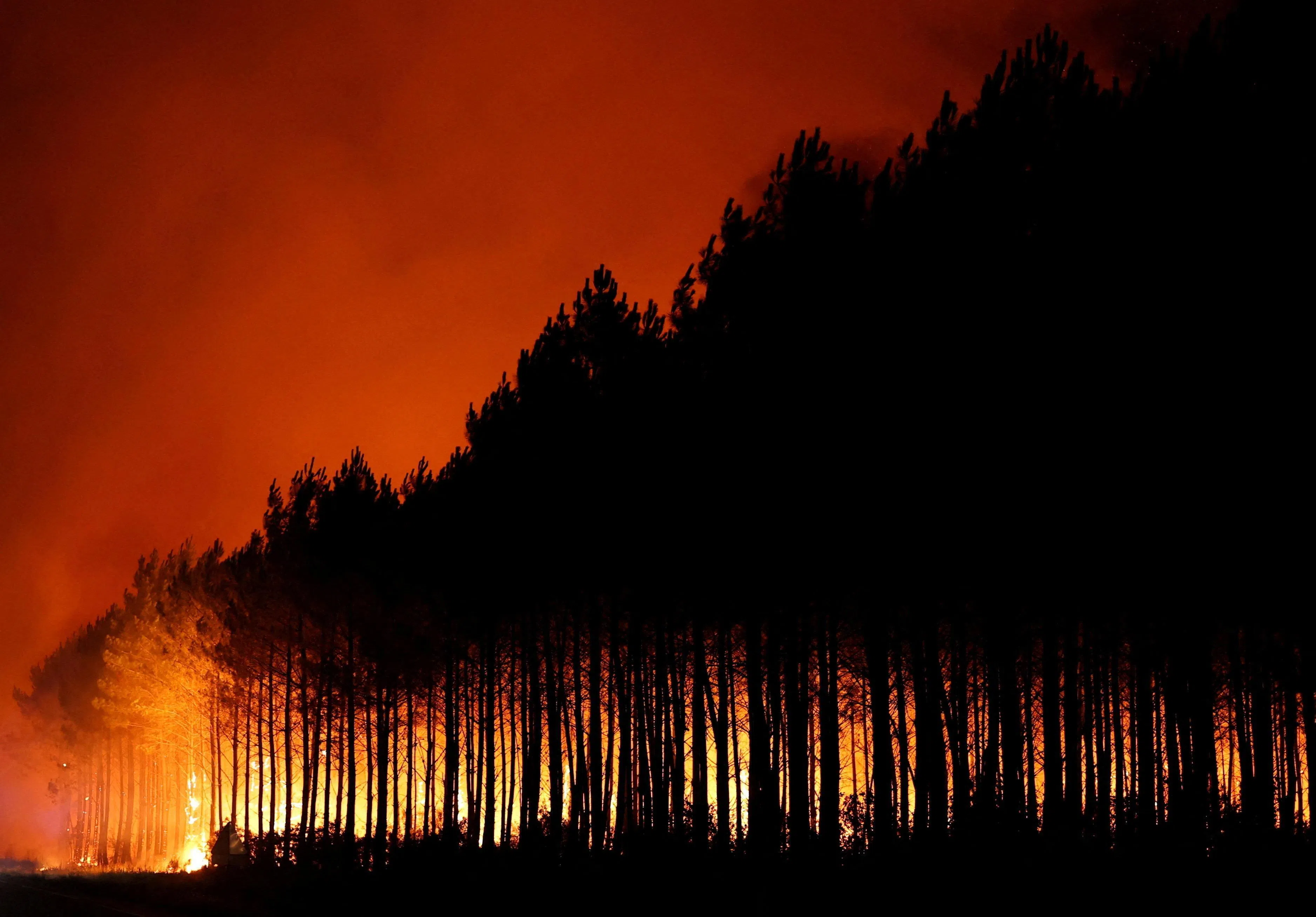 A wildfire burns in a forest area in the Gironde department amid worsening drought conditions following a heatwave and water shortages across much of France, July 22, 2026. REUTERS/Stephane Mahe     TPX IMAGES OF THE DAY