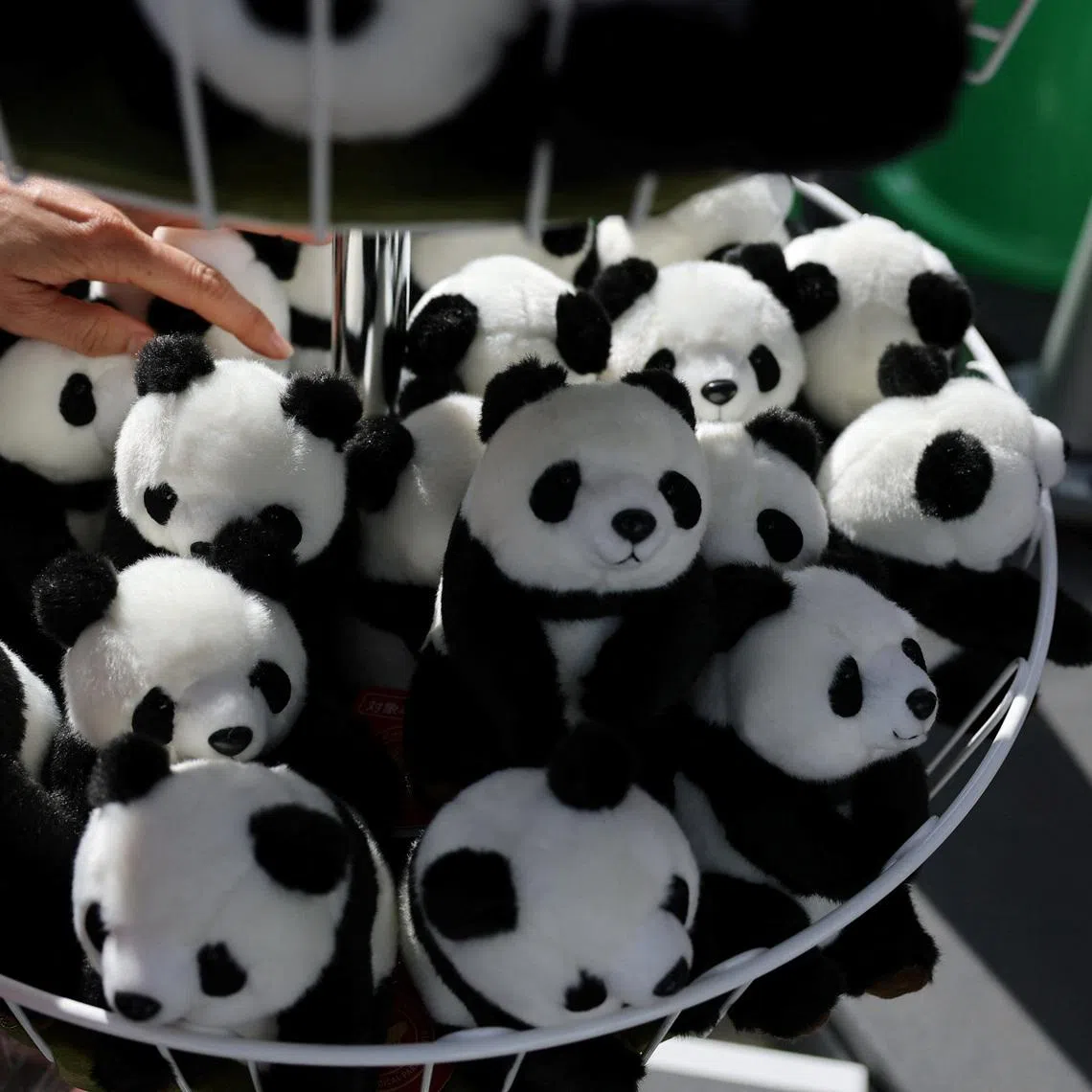 A male panda and a female panda are part of an agreement to send them to the US, said Zoo Atlanta. 