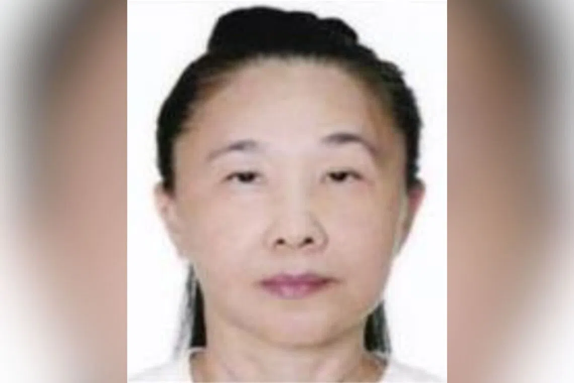 Mdm Hung Chit Ming was last seen in the vicinity of Block 424 Tampines Street 41 at about 10pm on Sept 11.