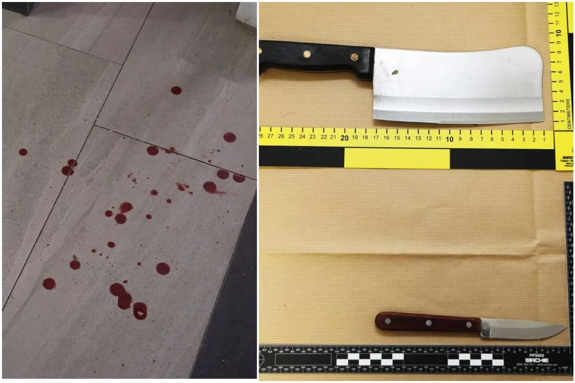 The attack left two men, aged 76 and 40, and a six-year-old girl with minor injuries.