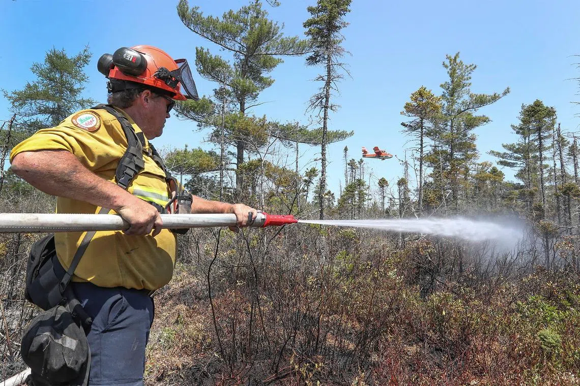 More than 2.7 million hectares have been scorched so far this year across the country.