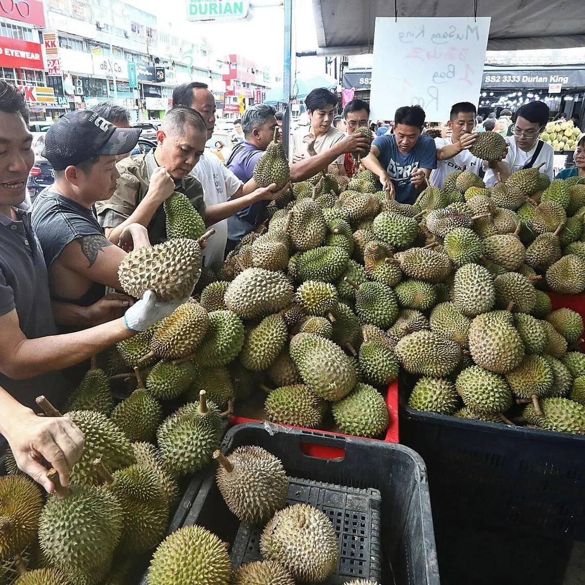 Locals choosing durians at SS2 Durian House Stall in Petaling Jaya, Selangor, Malaysia.