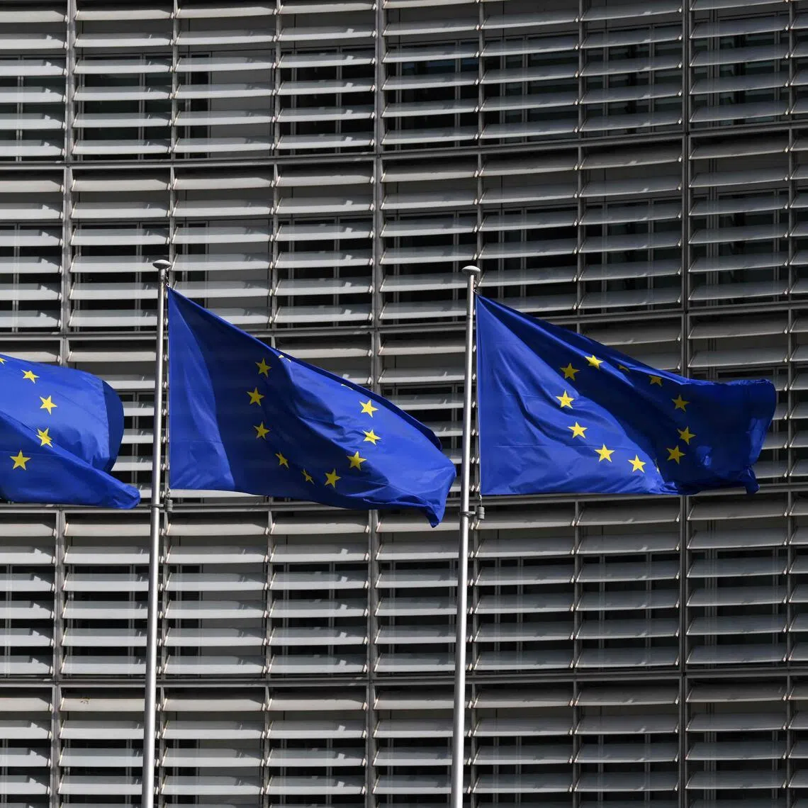 The EU will also send a nine-member delegatin to Beijing and Shanghai to address challenges in the e-commerce sector.