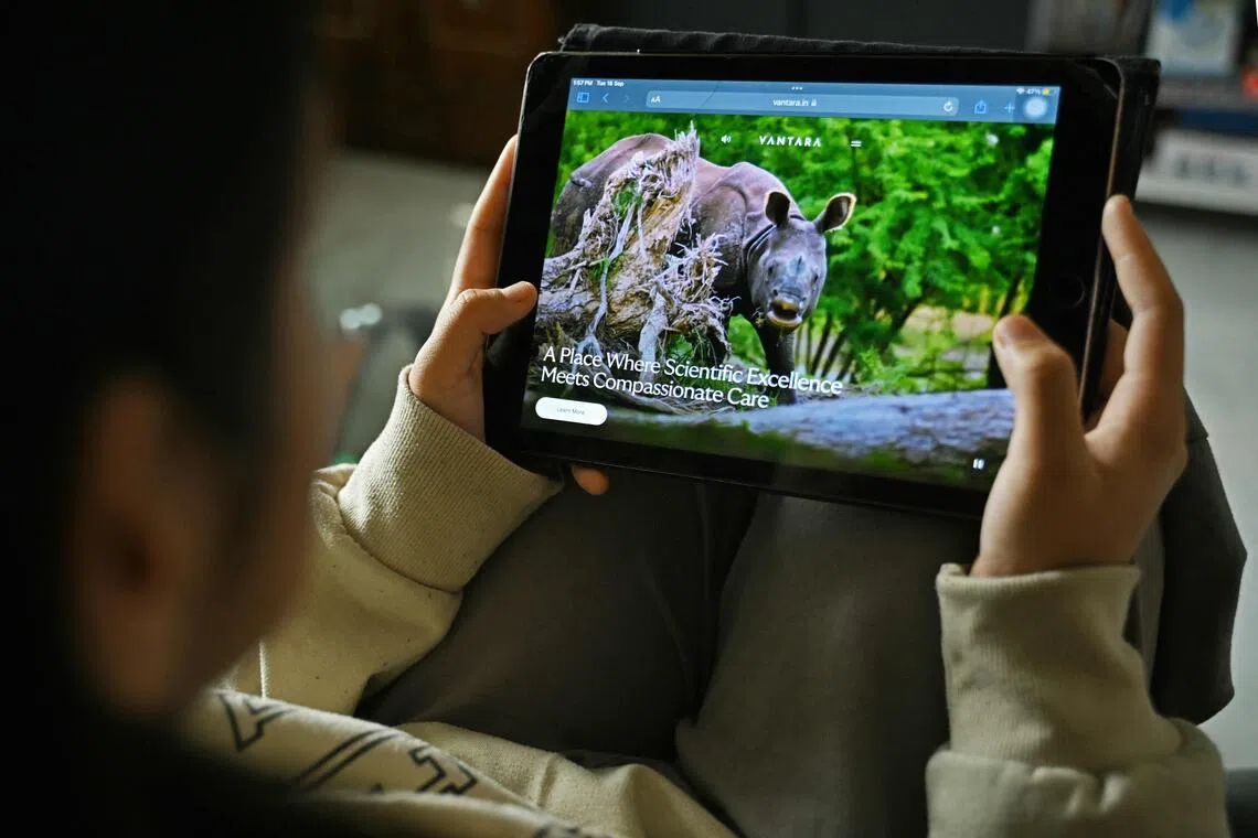 Vantara is a 1,416ha zoo in Gujarat run by the philanthropic arm of the Reliance conglomerate led by Mr Mukesh Ambani and his family.