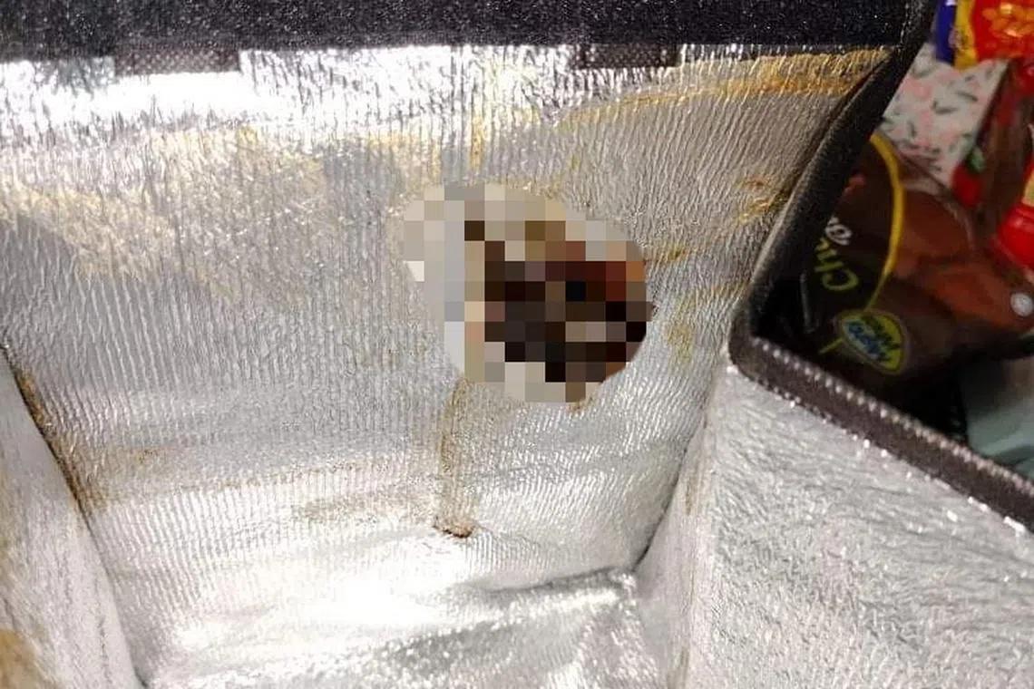 A squashed rat in a food delivery bag from Japanese-French inspired bakery AnnaBella Patisserie.