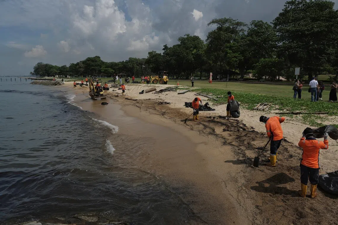 Workers cleaning up the oil spill at the beach in East Coast Park on June 20.
