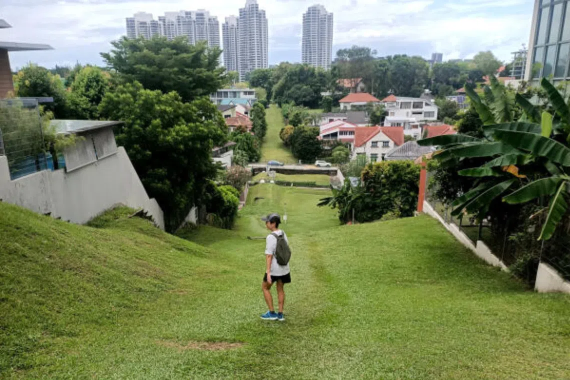 Going off the beaten track can yield sparks of joy in discovering new things in an old, familiar neighbourhood.