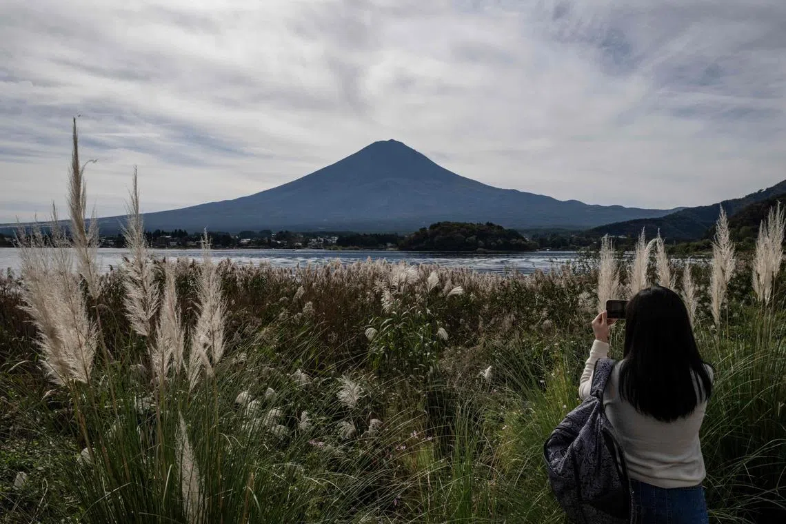 A woman takes photographs before Mount Fuji, the highest mountain in Japan at 3,776 metres (12,460 feet), in Fujikawaguchiko, Yamanashi prefecture on October 31, 2024. Japan's Mount Fuji remained snow-less on October 31 -- the latest date that its majestic slopes have been bare since records began 130 years ago. (Photo by Yuichi YAMAZAKI / AFP)