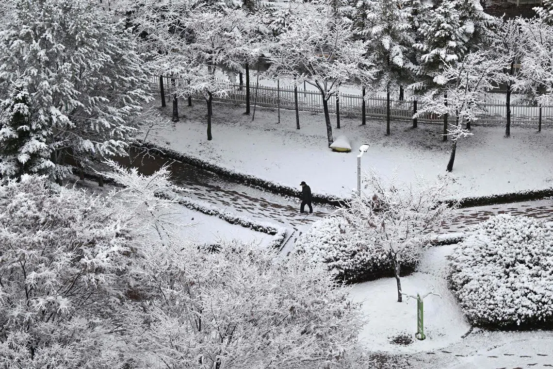 A man walking through a snow-covered park in Goyang on Nov 27, 2024. 