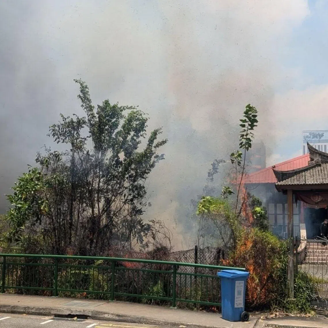 The fire involved a patch of vegetation and was extinguished using a hose reel by SCDF.