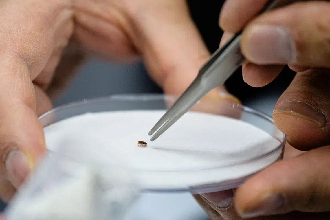 The bedbug invasion of Seoul comes on the heels of a similar outbreak in Paris, which is set to host the Olympic Games in 2024.