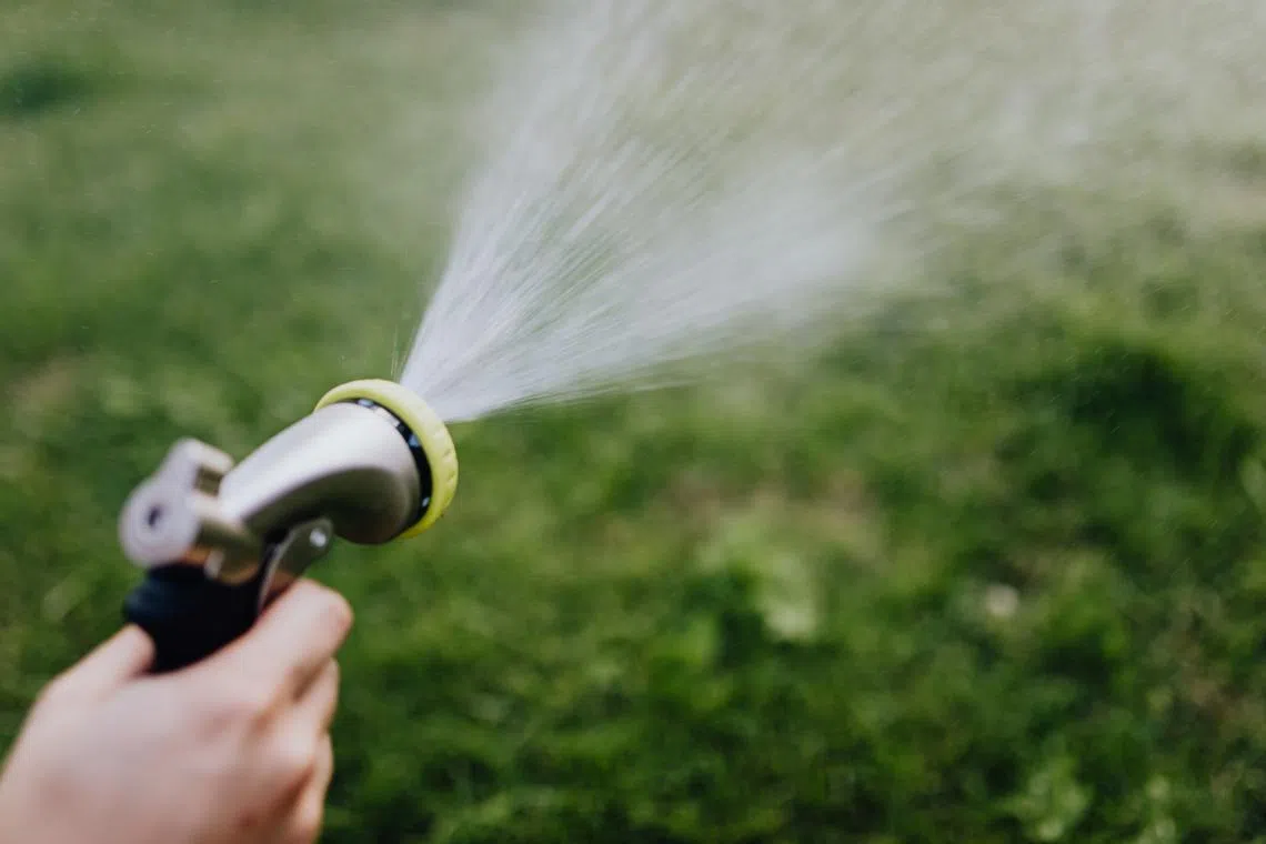During critical situations, restrictions on water use for non-essential purposes such as watering lawns and parks could be imposed. 
