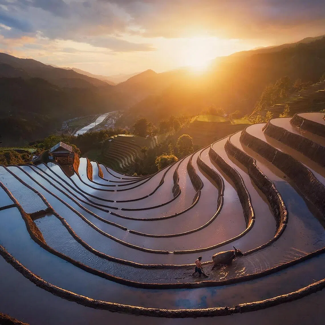 An emerging spot in Vietnam is a rural district called Mu Cang Chai located about 300km north-west of Hanoi and about 1,000m above sea level.