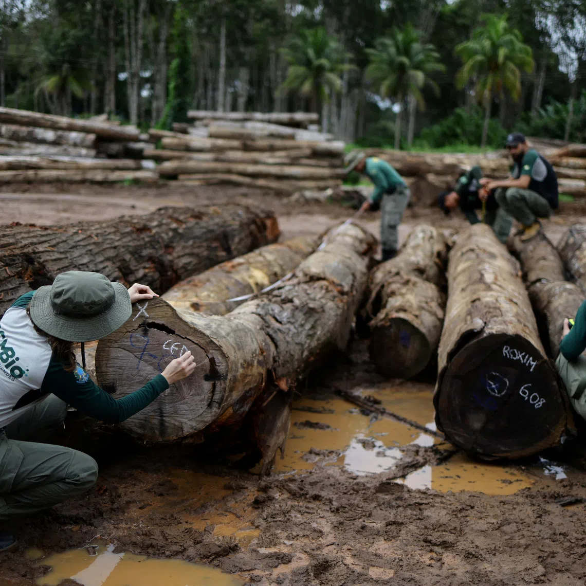 Countries are currently not on track to meet 22 of the 23 goals set out in the Kunming-Montreal framework.
