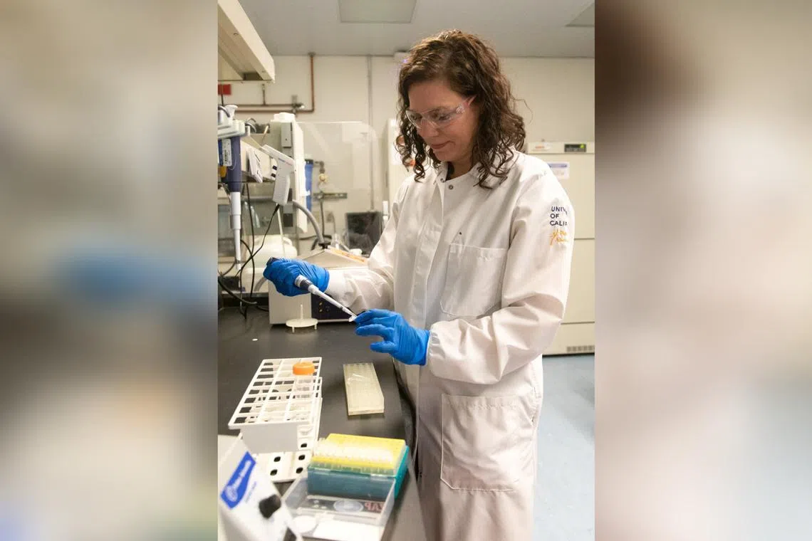 Geneticist Karen Miga at a laboratory engaged in research involving the human Y chromosome at the University of California in Santa Cruz.