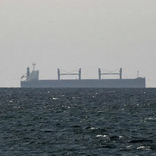A cargo ship near the Strait of Hormuz through which nearly one-fifth of the world's oil consumption passes.