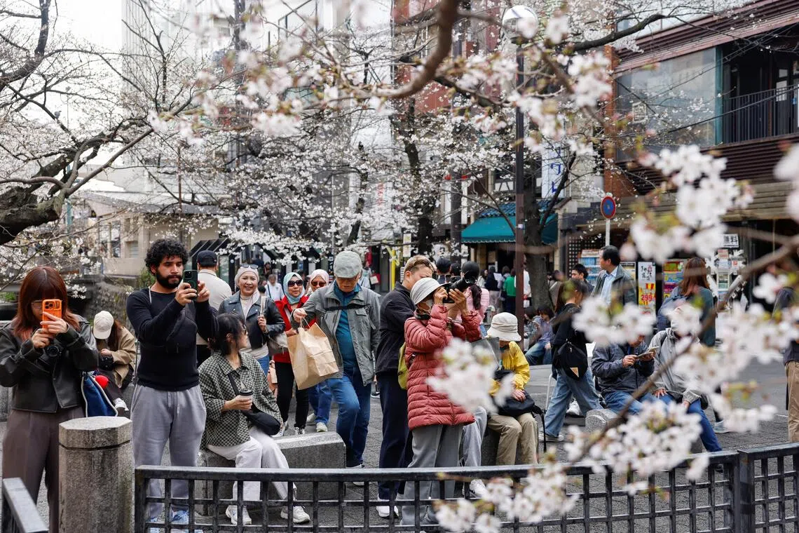 Tourists take photos of blooming cherry blossoms in Kyoto, Japan, on March 28.