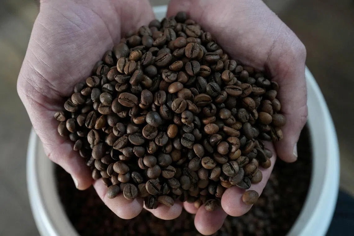 Vietnam produces about 40% of the world’s robusta coffee beans, typically used in instant coffee blends.