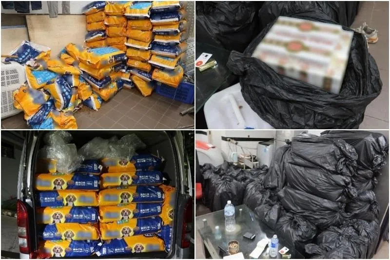 Singapore Customs officers found duty-unpaid cigarettes hidden in and among packages labelled as "dog food" in a public utilities room in Choa Chu Kang.