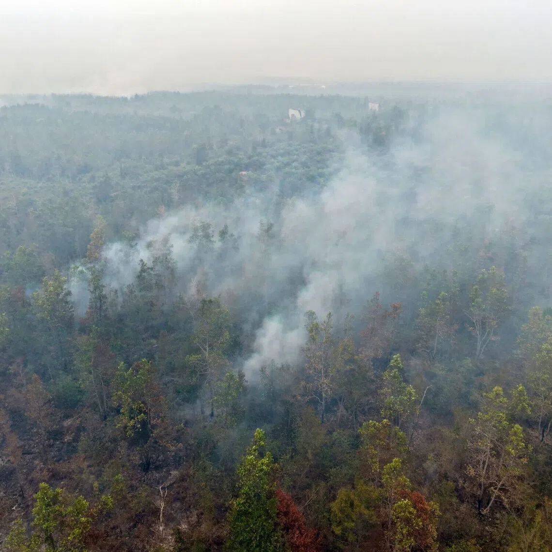 Smoke rises from forest fires in Palangkaraya, Central Kalimantan, on Sept 23.