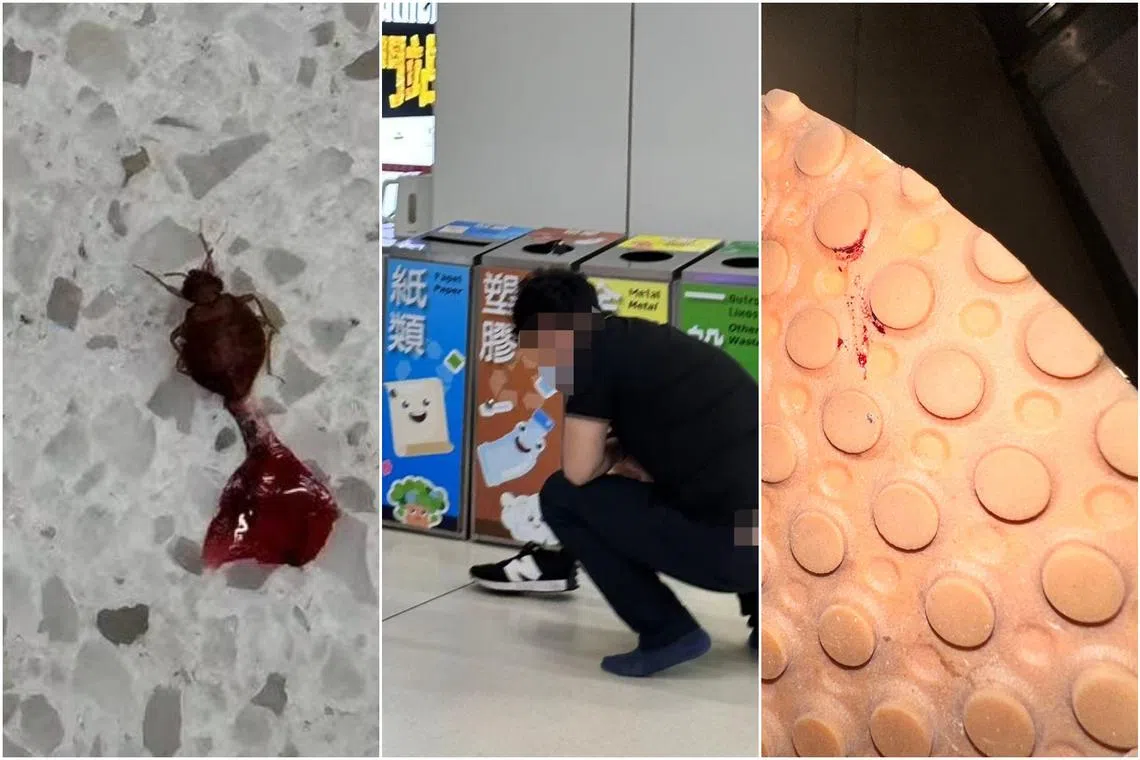 The victims were not only bitten on the bus, they also found more bugs in their shoes and clothing after they alighted.