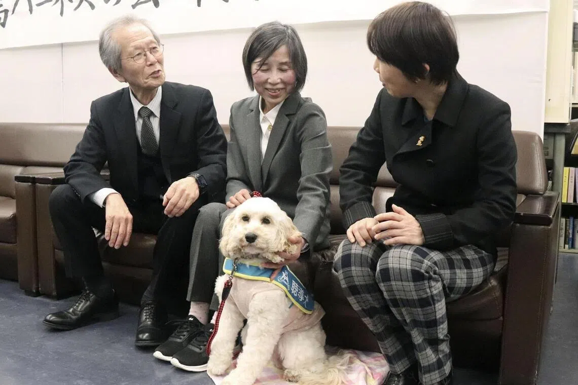 A tap from a dog brings peace of mind for Japan’s hearing impaired