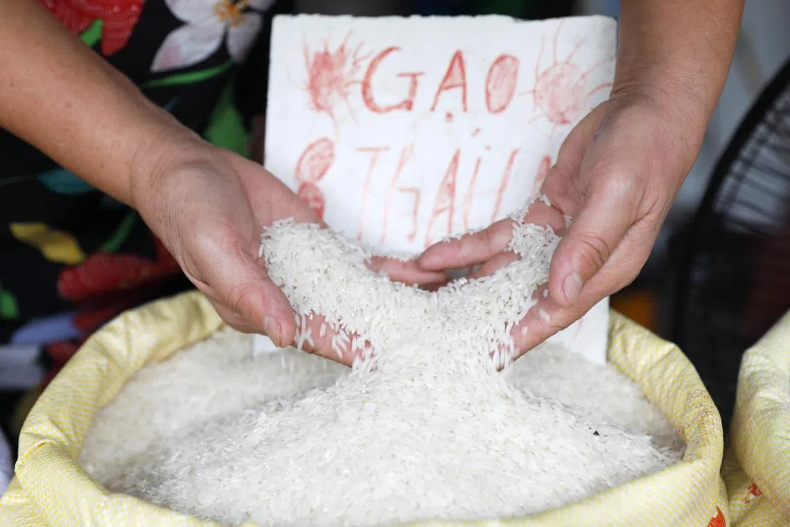 The price rally matters because rice is the staple diet for half the world.