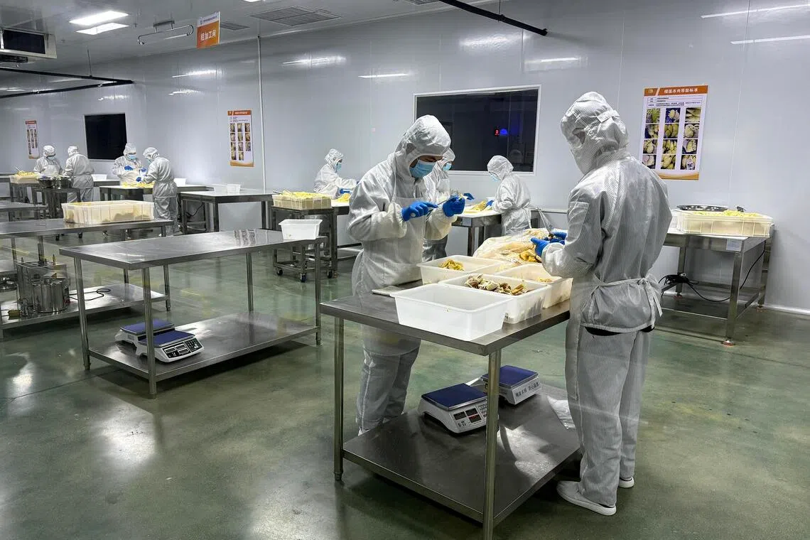 Workers extracting durian flesh at Guan Liu Xiang’s factory in Pingxiang, China.