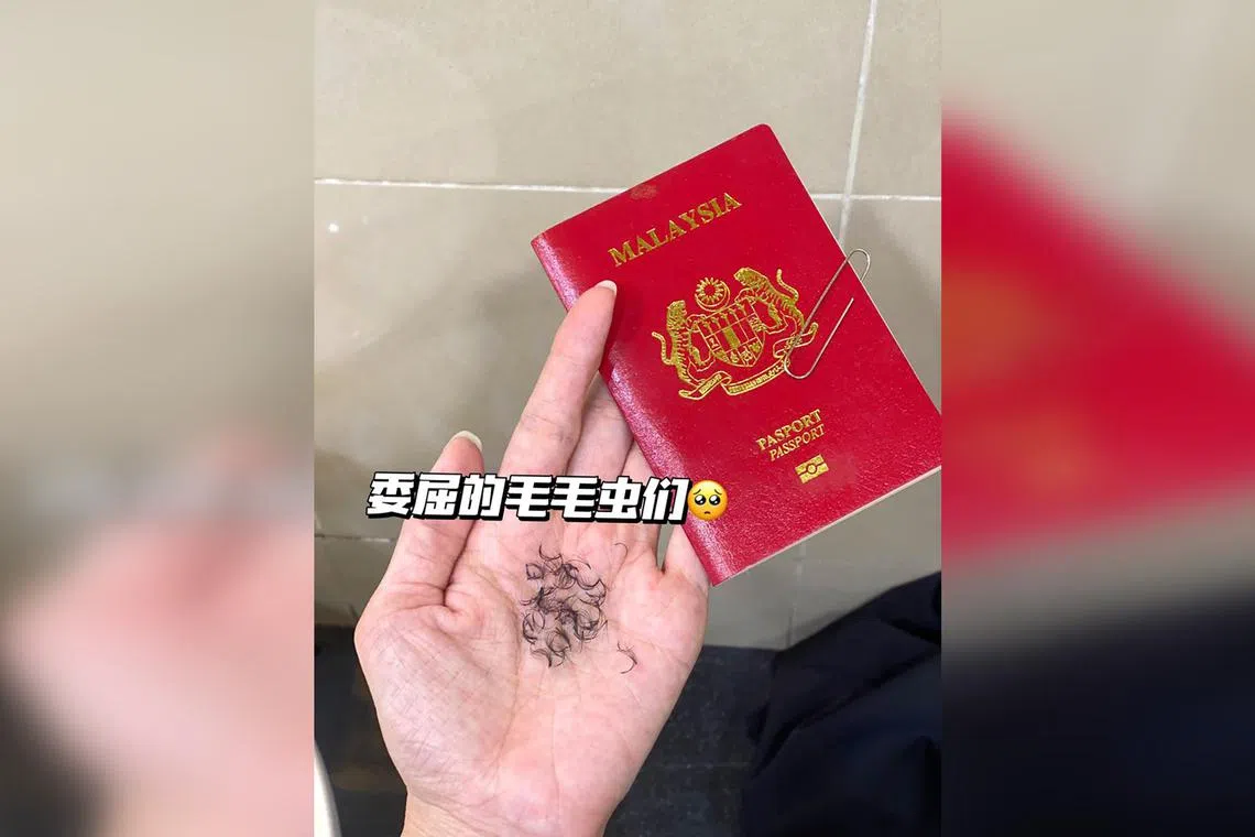 Facebook user Shakira Mamii had to pull out her freshly-done eyelash extensions “one by one” for her passport photo. 