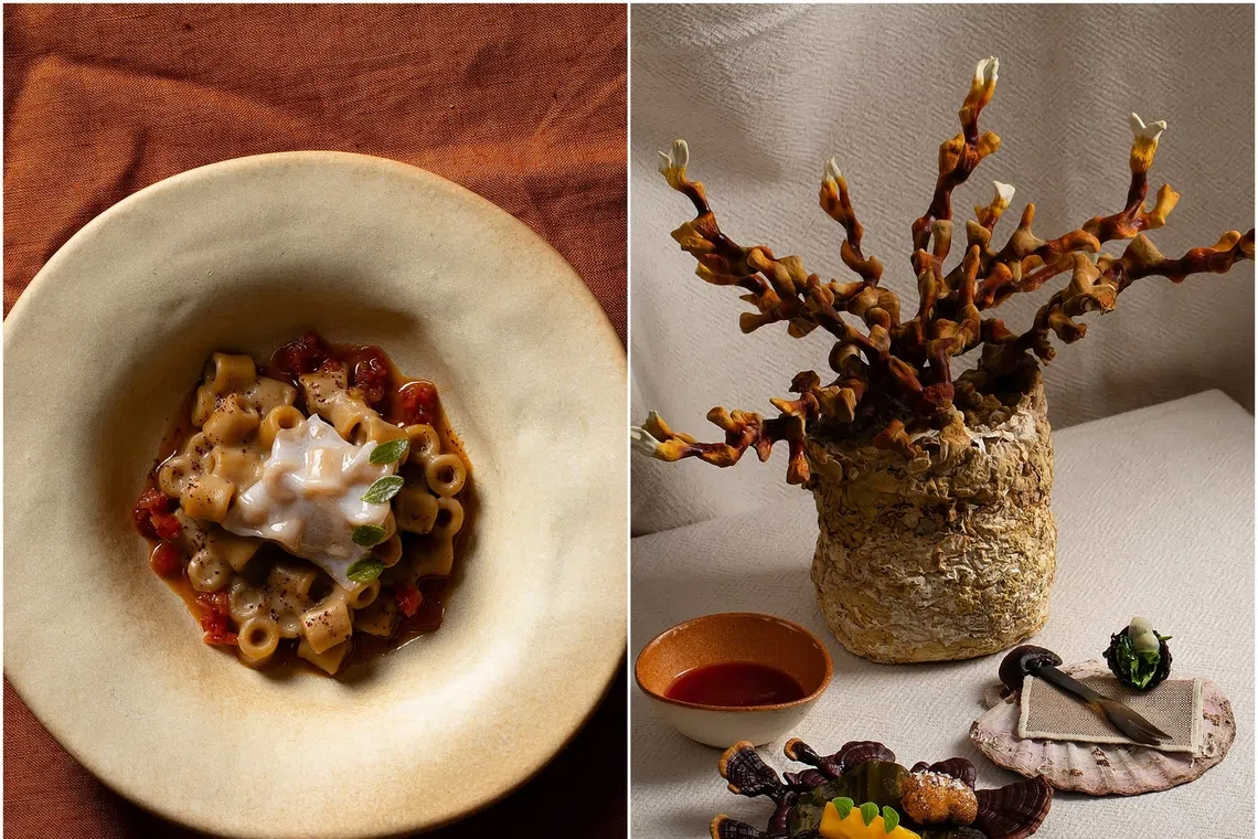 Ditali pasta (left).  Scallop paired with a mushroom selected by the guest, plum and pomegranate broth, and dehydrated plum filled with golden oyster mushroom, lovage, and parsley.