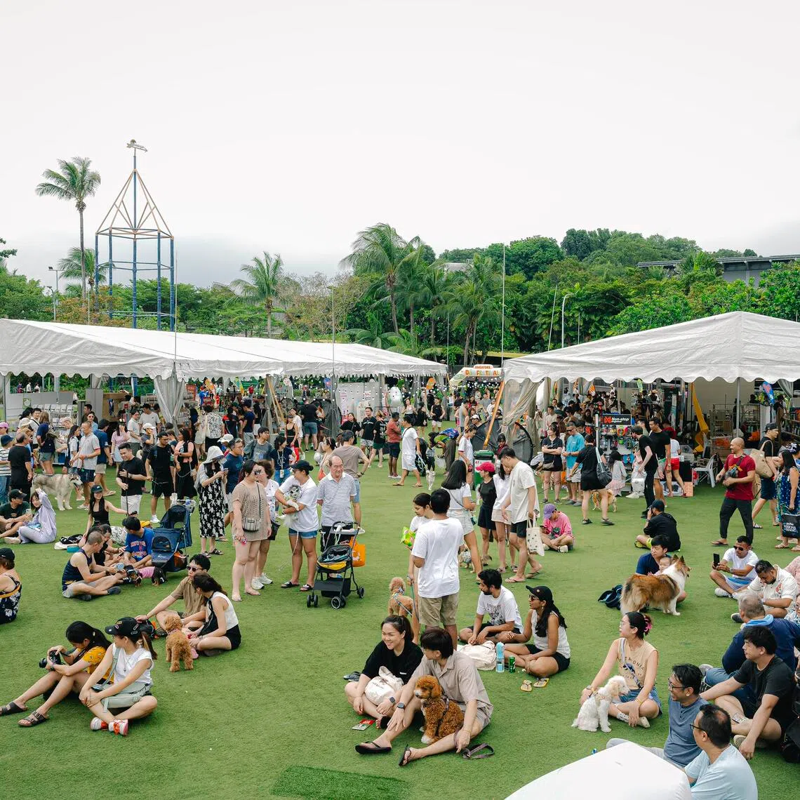 Singapore Dog Festival returns to Palawan Green, Sentosa, for its 2026 edition.