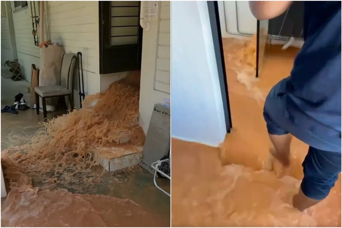 The flat owners discovered sewage water gushing out from the kitchen and toilet drains of their new 4-room flat located at Block 401 Yishun Avenue 6.