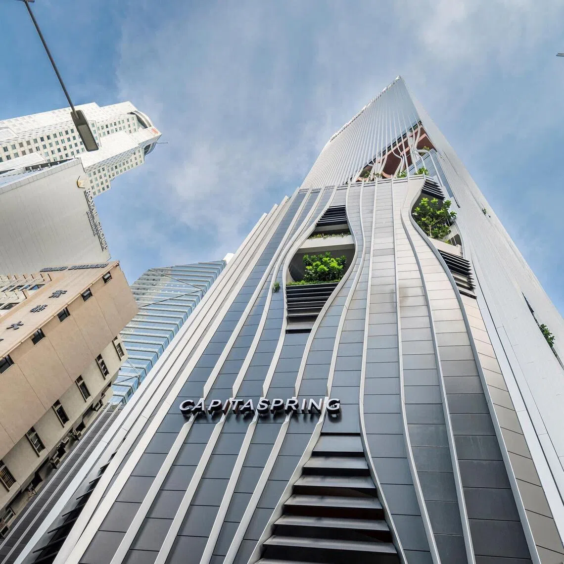 CLI's revenue fell 24 per cent for the financial year 2025, while full-year profit tumbled almost 70 per cent.