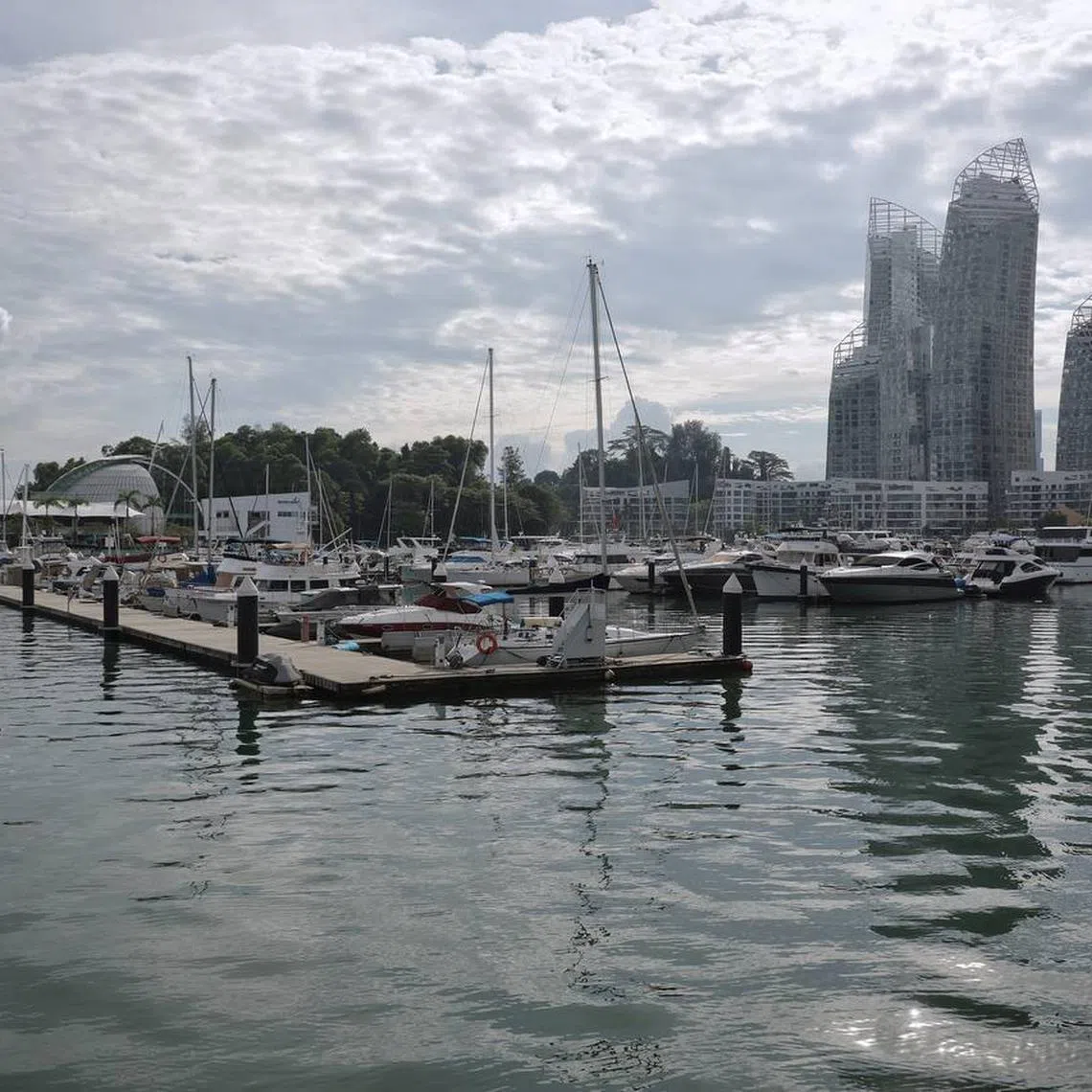 Yachts berthed at the Marina at Keppel Bay on June 29. The marina opened on June 28 following a nearly two-week closure.