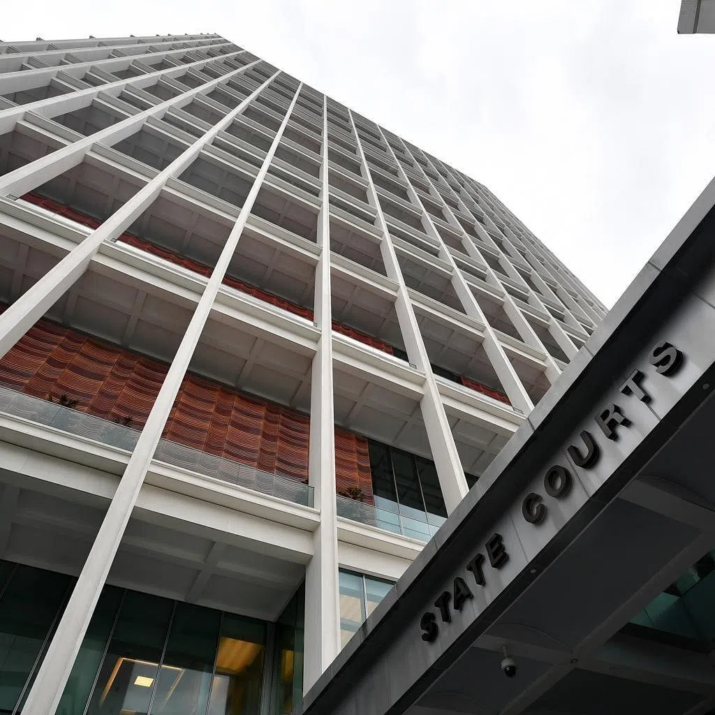 The 39-year-old Singaporean was sentenced to three weeks’ jail on Oct 9. He had pleaded guilty on Aug 20 to one charge of voluntarily causing hurt.