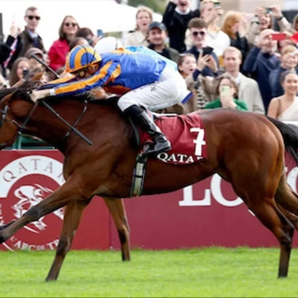 Diamond Necklace is no stranger to French elite racing having conquered the Group 1 Prix Marcel Boussac (1,600m) at ParisLongchamp on Oct 5, 2025. She will contest the Group 1 Poule d'Essai des Pouliches over the same course and distance on May 10.

