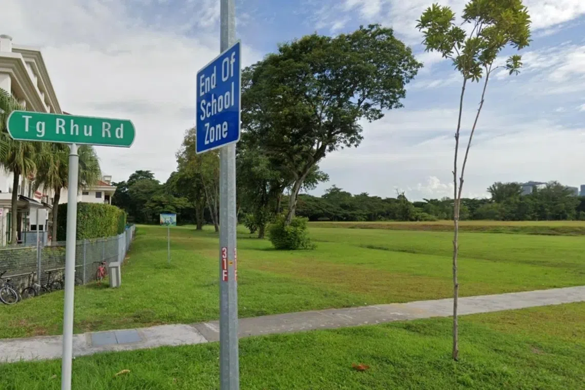The Tanjong Rhu Road site is bounded by the Singapore Swimming Club to the east, in an area with private and public housing developments. 