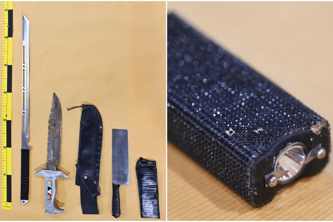 Weapons seized by the police included a samurai sword, two knuckledusters and the stun device.