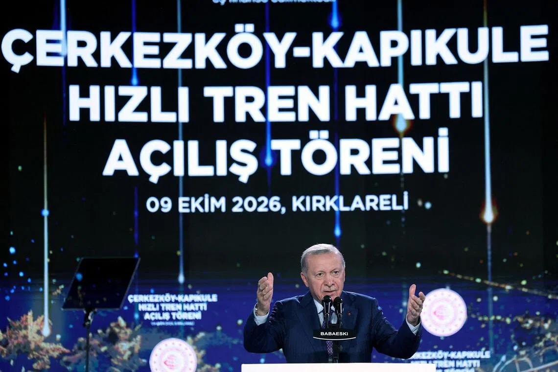 Authorities in Turkey have charged many thousands, from journalists to teenagers and even a former Miss Turkey, for insulting President Recep Tayyip Erdogan.