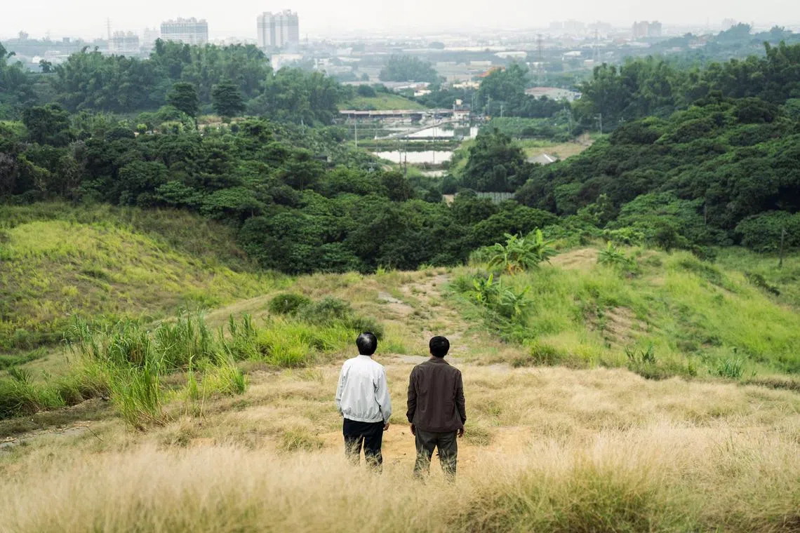 jopicks28 - Coo-Coo 043 is set in Taiwan's pigeon-racing community and stars Yu An-shun (shown in cage) as Ah Ching, a pigeon breeder



Source: Singapore Chinese Film Festival